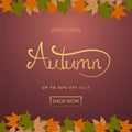 Autumn sale background layout decorate with leaves for shopping sale or promo poster and frame leaflet or web banner.Vector illust Royalty Free Stock Photo