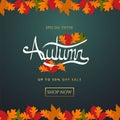 Autumn sale background layout decorate with leaves for shopping sale or promo poster and frame leaflet or web banner.Vector illust Royalty Free Stock Photo