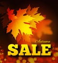 Autumn sale background with leaf texture on the lettersh and bokeh. Royalty Free Stock Photo