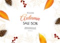 Autumn sale background with leaves Autumn sale background with leaves.