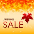 Autumn sale background with maple leaves.