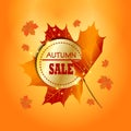 Autumn sale background