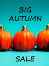 Autumn sale background. Text Big autumn sale. Royalty Free Stock Photo