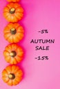 Autumn sale background. Text autumn sale -5%, -15%.