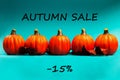 Autumn sale background. Text autumn sale -15%.