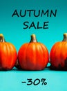 Autumn sale background. Text autumn sale -30%. Royalty Free Stock Photo