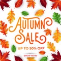 Autumn sale background vector with decorative leaves. Autumn Sale Vector background Illustration. Abstract Autumn Sale background