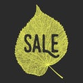 Autumn sale background.