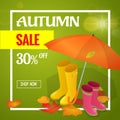 Autumn sale banner. Autumn sale flayer Design for shop. Autumn sale online store. Autumn sale Discount up to 30 off.