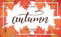 Autumn sale banner . Background with maple leaves frame and trendy Autumn brush lettering. Seasonal Fall sale card