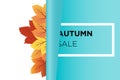 Autumn sale banner background vector with orange and green fall leaves behind Rolling paper
