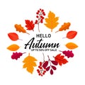 Autumn Sale banner with bright leaves.Vector illustration