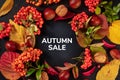 Autumn Sale banner with chestnuts, nuts, and fall leaves, shot from the top Royalty Free Stock Photo