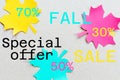 Autumn sale banner with colored paper maple leaves