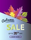 Autumn sale banner with colorful fall leaves