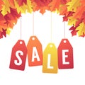 Autumn sale banner with colorful fall leaves. Colorful autumn red and yellow leaves background.