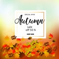 Autumn sale banner with colorful fall leaves.