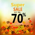 Autumn sale banner with colorful fall leaves.