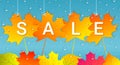 Autumn sale banner with colorful leaves and raindrops. Royalty Free Stock Photo