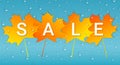 Autumn sale banner with colorful leaves and raindrops. Royalty Free Stock Photo