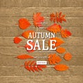 Autumn sale banner concept Royalty Free Stock Photo