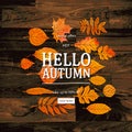 Autumn sale banner concept Royalty Free Stock Photo