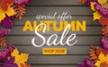Autumn sale banner, 3d paper colorful tree leaves on wooden background. Autumnal design for fall season sale banner, special offer Royalty Free Stock Photo