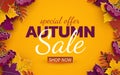 Autumn sale banner, 3d paper colorful tree leaves on yellow background. Autumnal design for fall season sale banner, special offer Royalty Free Stock Photo