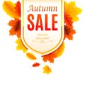 Autumn Sale Banner