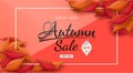 Autumn sale banner design with colorful seasonal fall leaves Royalty Free Stock Photo