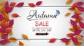 Autumn sale banner design with colorful seasonal fall leaves Royalty Free Stock Photo