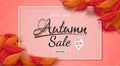 Autumn sale banner design with colorful seasonal fall leaves Royalty Free Stock Photo
