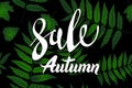 Autumn Sale banner design, with hand drawn lettering, in a frame made up by painted skeleton leaves, on dark green background Royalty Free Stock Photo