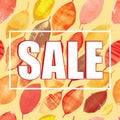 Autumn SALE banner design on seamless pattern on bright autumn leaves. Royalty Free Stock Photo