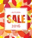 Autumn SALE banner design on seamless pattern on bright autumn leaves. Royalty Free Stock Photo