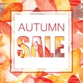 Autumn SALE banner design on seamless pattern on bright autumn leaves. Royalty Free Stock Photo