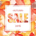 Autumn SALE banner design on seamless pattern on bright autumn leaves. Royalty Free Stock Photo