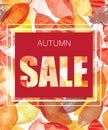 Autumn SALE banner design on seamless pattern on bright autumn leaves. Royalty Free Stock Photo