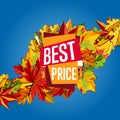 Autumn sale banner. Discount template Royalty Free Stock Photo