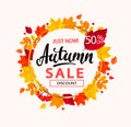 Autumn sale banner in frame from autumn leaves. Royalty Free Stock Photo