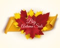 Autumn sale banner illustration. Colorful leaves with paper scroll banner