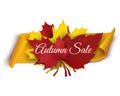 Autumn sale banner illustration. Colorful leaves with paper scroll banner