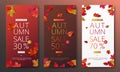 Autumn sale banner layout template decorate with maple and realistic leaves in warm color tone for shopping sale or promotion
