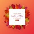 Autumn sale banner layout template decorate with maple and realistic leaves in warm color tone