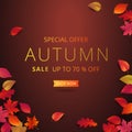 Autumn sale banner layout template decorate with maple and realistic leaves in warm color tone for shopping sale or promotion