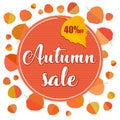 Autumn sale banner with autumn leaves on white background. Royalty Free Stock Photo