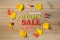 Autumn sale banner with autumn leaves