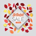 Autumn sale banner for newsletter, promotion, discount offer, presentation. Fallen leaves on the backgrond.