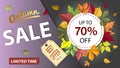 Autumn sale banner in purple colours with colorful fall leaves Royalty Free Stock Photo