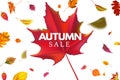 Autumn sale banner. Season sales template with falling leaves, fallen leaf discount and autumnal flyer background vector